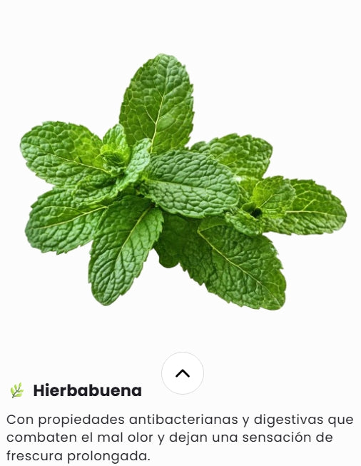 🍃WellFresh - Buen Aliento En Gotas🍃