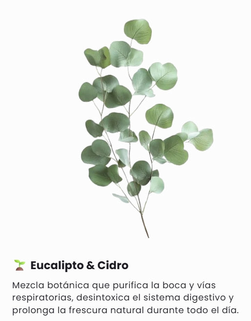 🍃WellFresh - Buen Aliento En Gotas🍃